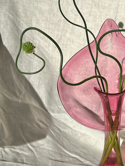 Pink Jack In The Pulpit Vase